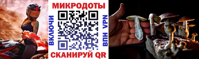 Галлюциногенные грибы Psilocybine cubensis  KRAKEN маркетплейс  Хилок 